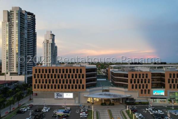 Bioma, Área Metropolitana