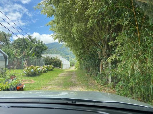 , Terreno en venta en Bajo Boquete | P4434584