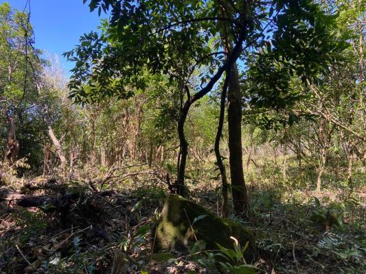 Alto Boquete, terreno