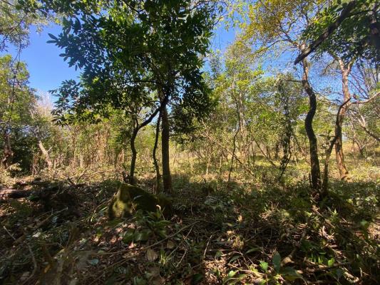 Alto Boquete, Alto Boquete