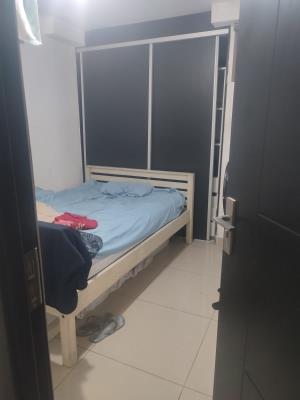 Coral tower, Panamá