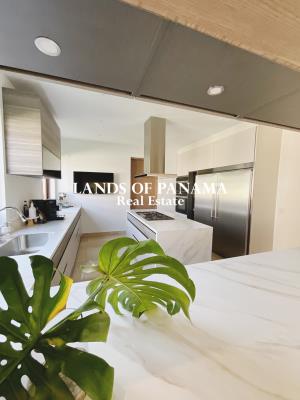 , Área Metropolitana