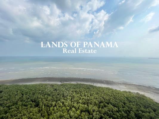 Ocean Two, Área Metropolitana