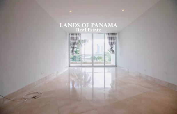 Miradores The Point, Área Metropolitana