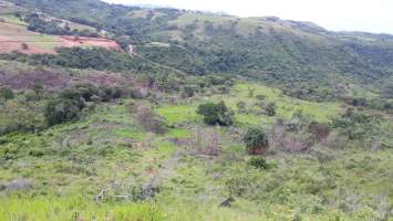 La Laguna San Carlos