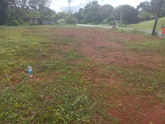 , Terreno en venta en Buena Vista | P4440387