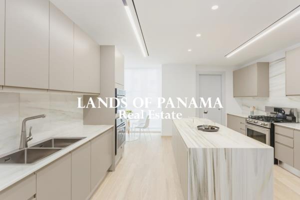 The Towers - Punta Paitilla, Punta Paitilla