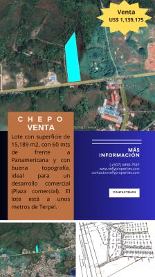 , Terreno en venta en Chepo | P4442865