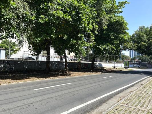 , Apartamento en alquiler en Obarrio | P4446225