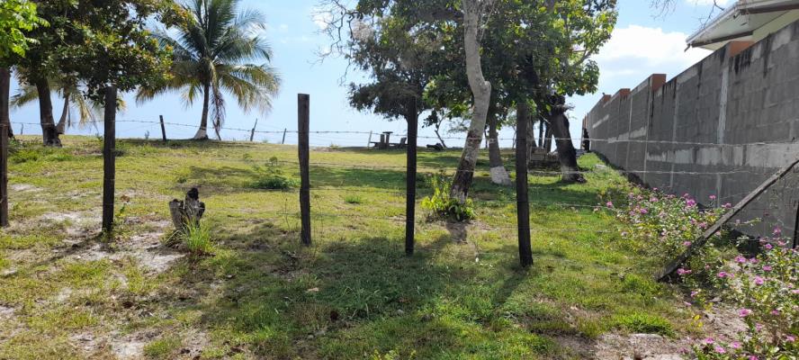 , Terreno en alquiler en Antón | P4448822