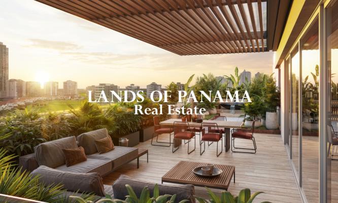 , Área Metropolitana