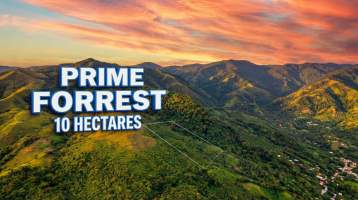 El Harino La Pintada