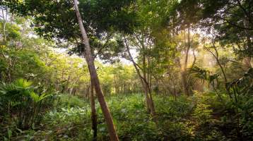 El Harino La Pintada