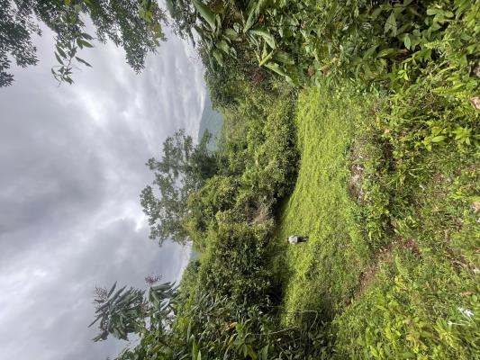 , Terreno en venta en Valle de Agua | P4454303