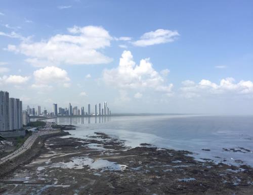 Pacific Point Torre 300, Punta Pacifica