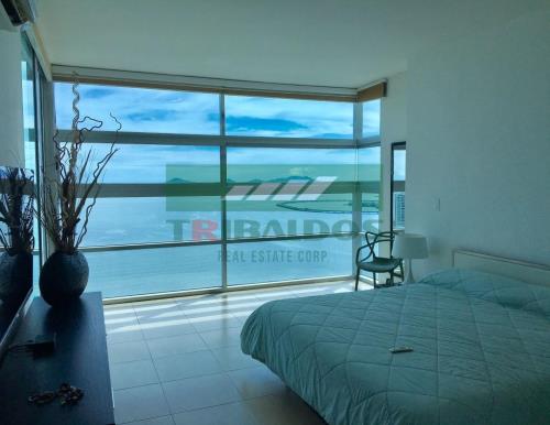 Waters on the bay, Metropolitan Area