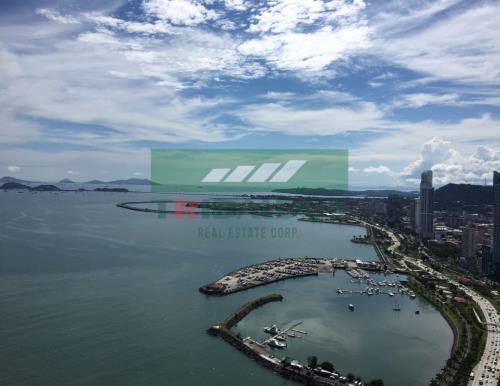 Waters on the bay, Metropolitan Area