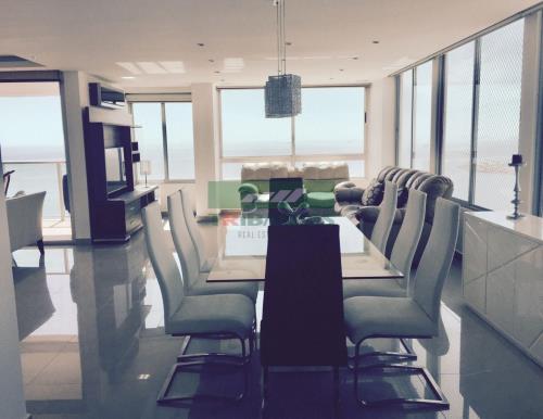 Terrasol, San Francisco