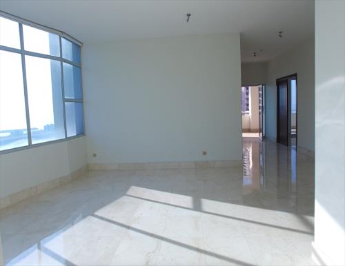 Torre del Parque, Punta Paitilla