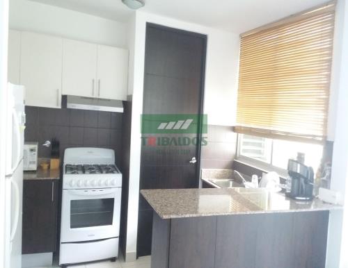 , Área Metropolitana