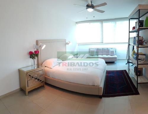 Star Bay , Metropolitan Area